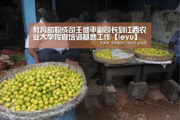 教育部职成司王继平副司长到江西农业大学检查培训基地工作【leyu】(图1) 教育部职成司王继平副司长到江西农业大学检查培训基地工作【leyu】(图1)