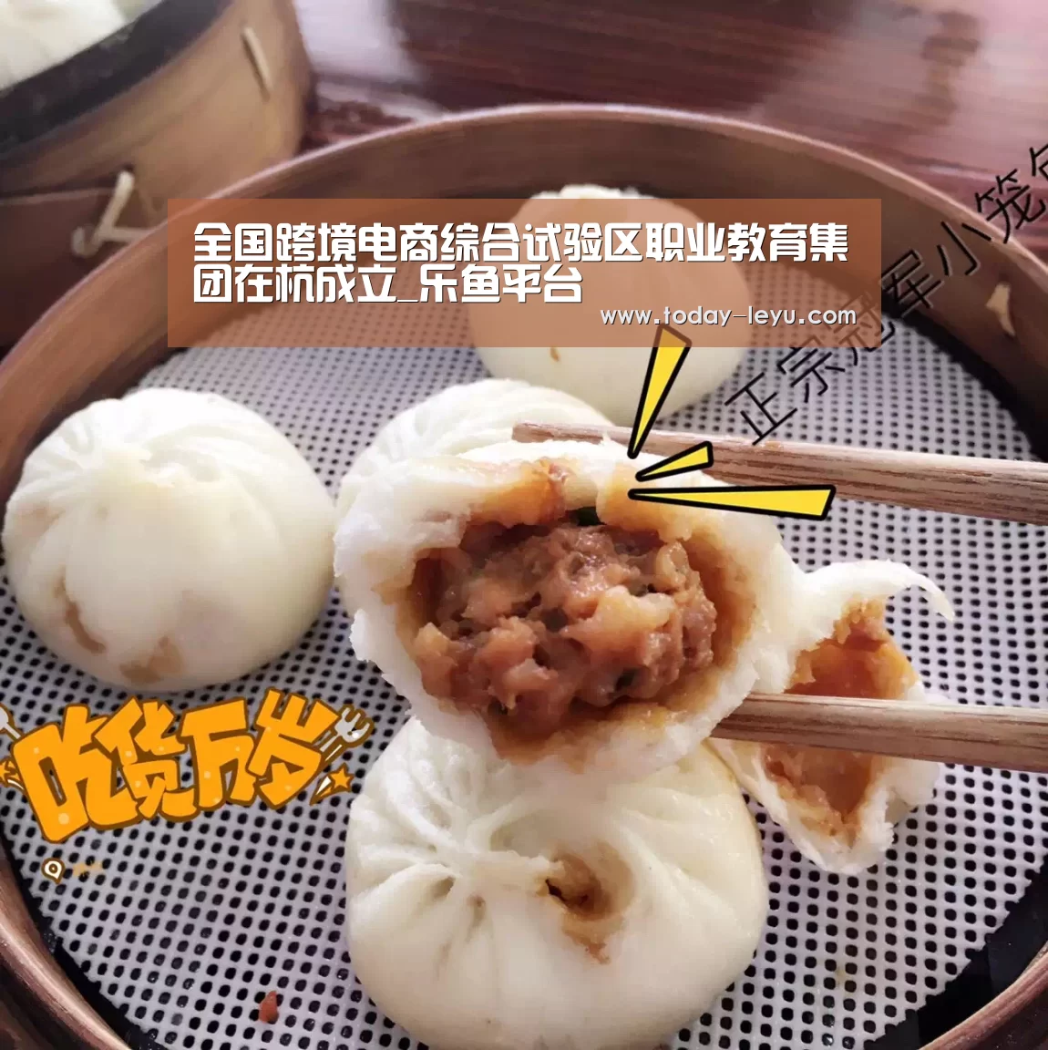 乐鱼体育APP