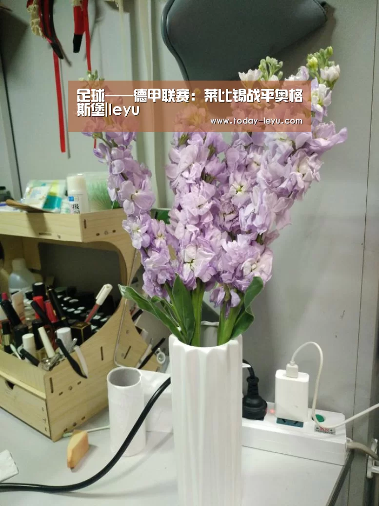 乐鱼体育APP