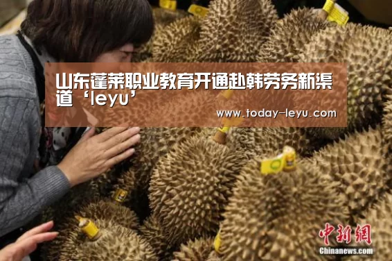 山东蓬莱职业教育开通赴韩劳务新渠道‘leyu’(图3) 乐鱼平台