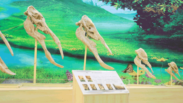湖北省副省长指出中职招生“两大顽疾”-乐