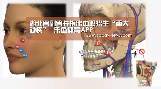 乐鱼平台